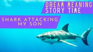 DREAM MEANING🦈 SHARK ATTACKING MY SON - STORYTIME