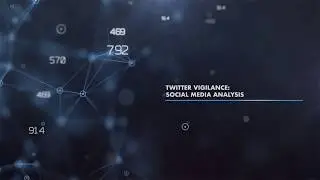 Snap4City: Twitter Vigilance for Social Media analysis