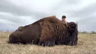 American Bison Hunt
