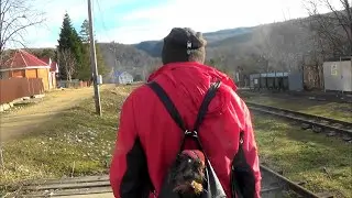 Мезмай Сурки Тревел