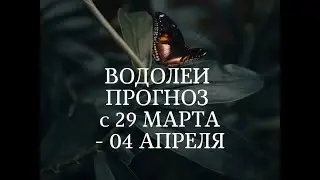 ВОДОЛЕИ🐳 ПРОГНОЗ с 29 МАРТА по 04 АПРЕЛЯ