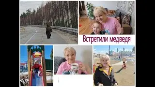 Столкнулись с медведем\Показываю свои покупки\Вкусный чай