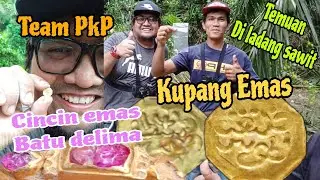 metal detector Malaysia / woon naik kupang emas johor sultan muzaffar syah di pott kelapa sawit