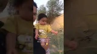 #kite