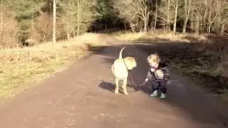 Мир подождет, когда есть верный друг