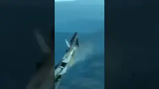 DIY RC Su-57