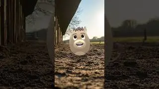 Horses 🐴🐎 #eggventurers #shorts #horses #funny