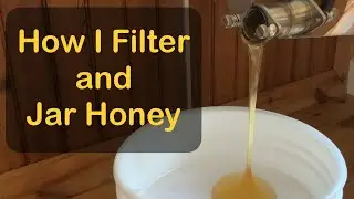 Filtering and Jarring Honey | Harnett County, NC