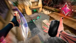 Esse é o MELHOR mouse para VALORANT?