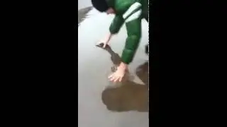 Фу (Петя) пьёт из лужи!///NS