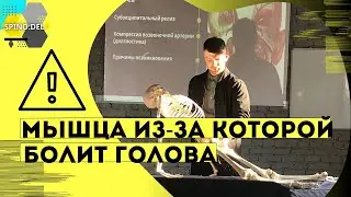 Головная боль | Повышенное АД | Кто виноват и как лечить!