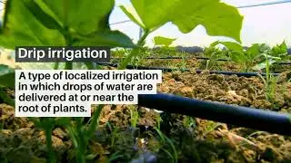 Drip irrigation system|Sprinkler irrigation|Center pivot irrigationI