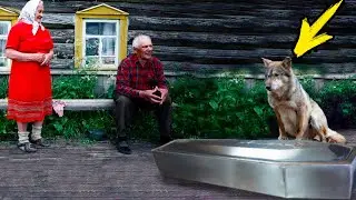 Having received their son in a zinc coffin, the old people did not know how to live further until sh
