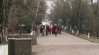 Слонов конвоируют в цирк при температуре 2℃
