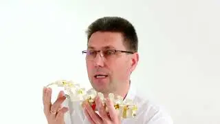 What to do when your tailbone hurts? Causes of tailbone pain, how to do an examination and how to...