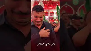 Ameeri Hussain Wa Ni'mal Ameer #nohastatus #nohaystatus