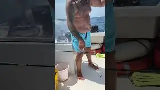 Неплохой улов и видовое разнообразие. Рыбалка в Сочи. #fishing #рыба #fishingvideo #fish #travel