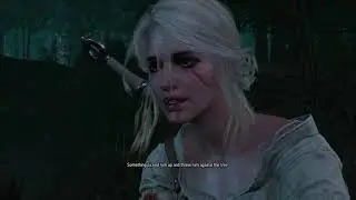 The Witcher - CIRI Kills King of the Wolves