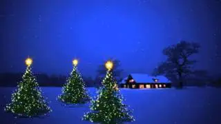 Particle Christmas Trees