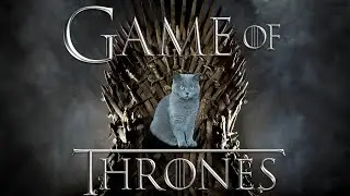 Game of Thrones - Starring My Cat