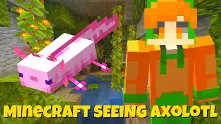 Minecraft Murder mystery