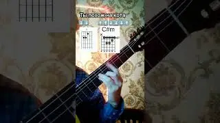 Жанулька ты похож на кота на гитаре 