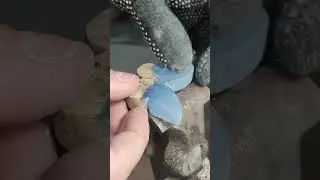 Кулон бабочка из эпоксидки