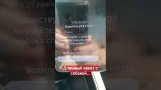 Перевозка животного! стоит денег