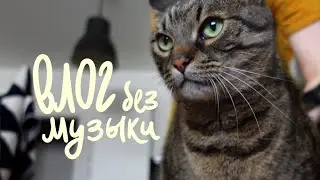 July Vlog 🍉🥕No Background Music