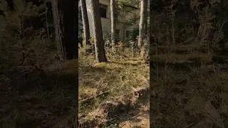 решили проверить заброшенный детский садик