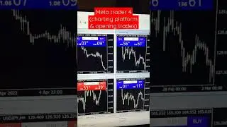 Top Trading Websites & Platforms for Beginners