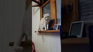 Как хочется на улицу....    #shorts