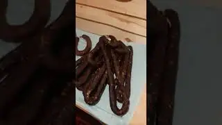 колбаса