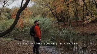 The sounds of photography in Epping forest
