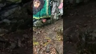 Подношение Хозяйке Медной Горы во имя Матушки Земли и Империи Сильнейших Ведьм!
