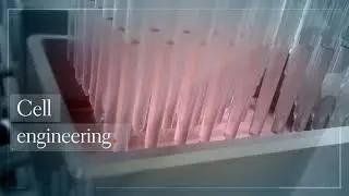 Cell engineering