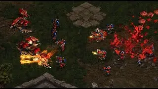Ample! 🇰🇷 (T) Shine! 🇰🇷 (Z) on Apocalypse - StarCraft - Brood War Remastered