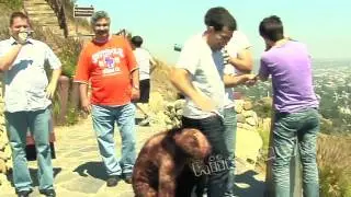 MONKEY ATTACKS WOMAN IN STREET!!