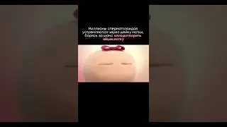 Гонка сперматозоидов