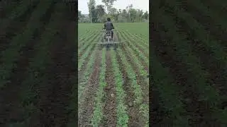 खरपतवार हटाने का बाईक जुगाड़ 🔥👍