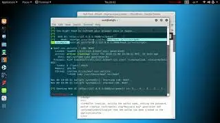 BeEF JS Injection Part 1