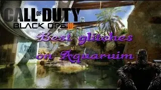 AQUARUIM black ops 3 best glitches