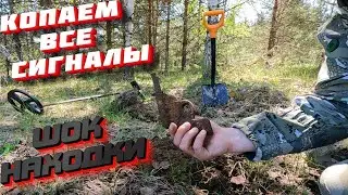 НАХОДКИ В ЛЕСАХ - СТАРИННЫЕ ПРЕДМЕТЫ - МОНЕТЫ КОП 2024 