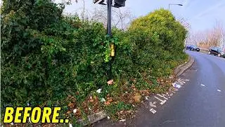 NATURE Consumes Pedestrian Crossing Let’s Clean It Up