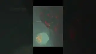 Der längste Fall in Zelda tears of the kingdom
