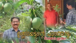 exotic fruit-ഉണ്ണിയുടെ പഴയതോട്ടത്തിലൂടെ
