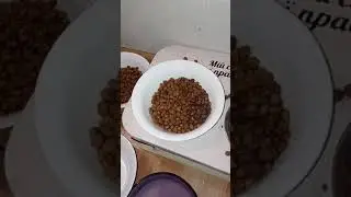 О посуде и еде . О вреде пластика