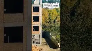 это шок, как такое возможно? собака рекордсмен Гиннеса, прыжок с 5 этажа