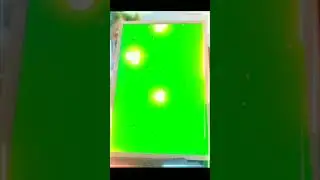 Green Screen Painting #greenscreen #status #viral #love #manike #short #painting #shorts #vfx