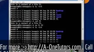 cp Command In UNIX